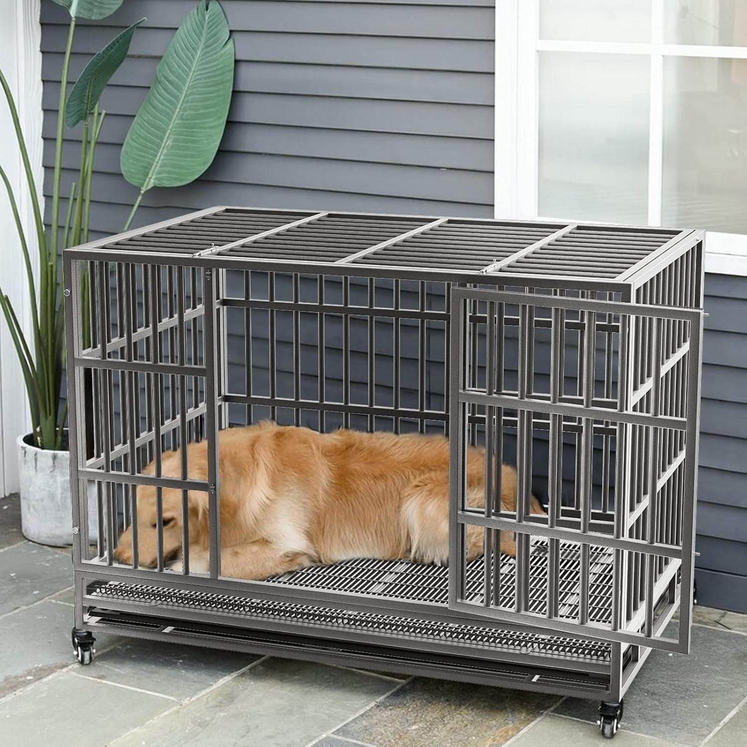 Cage pour chien Bossin 48/38 pouces, robuste et indestructible, cage anti-évasion avec roues verrouillables