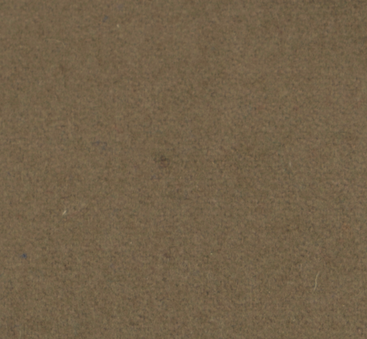 Taupe (Feutre)