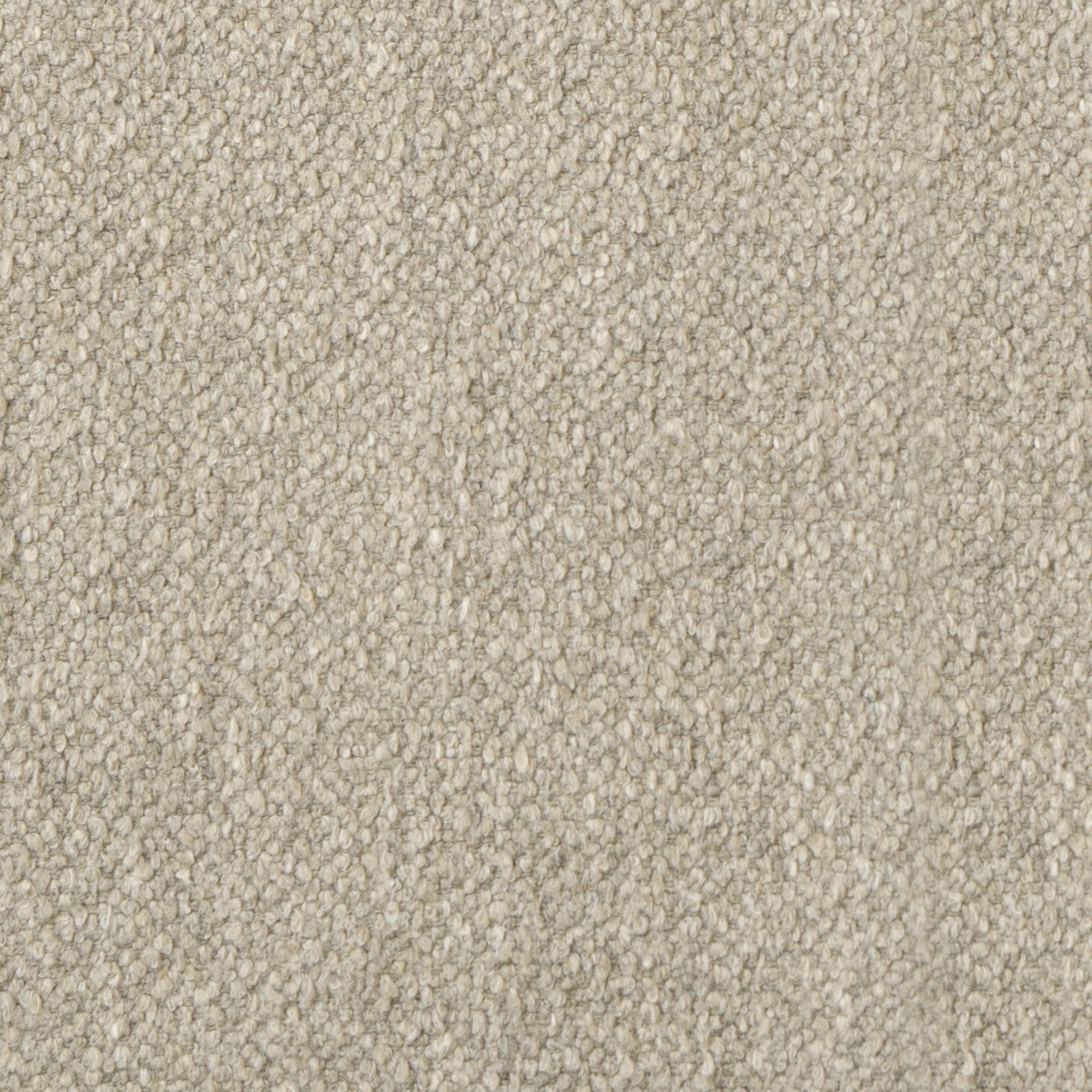 Taupe berbère