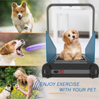 Tapis roulant pour chien avec affichage LED