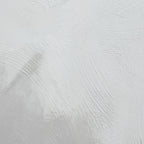 Blizzard Torrent Art