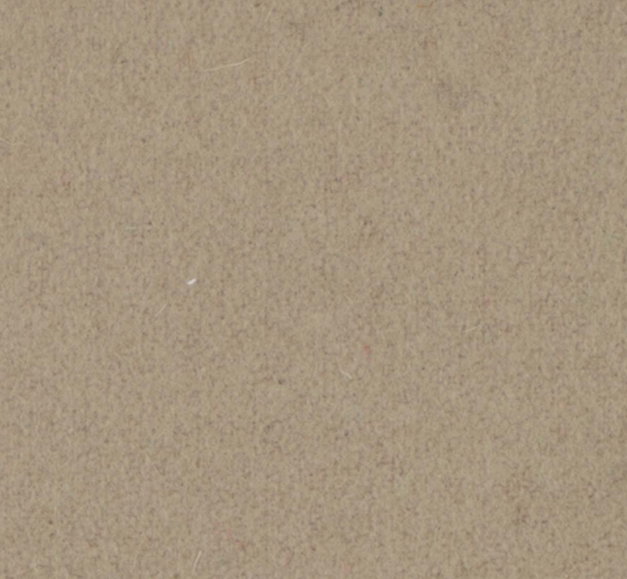 Kaki (feutre)